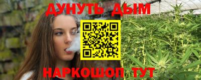 apvp Жуковский