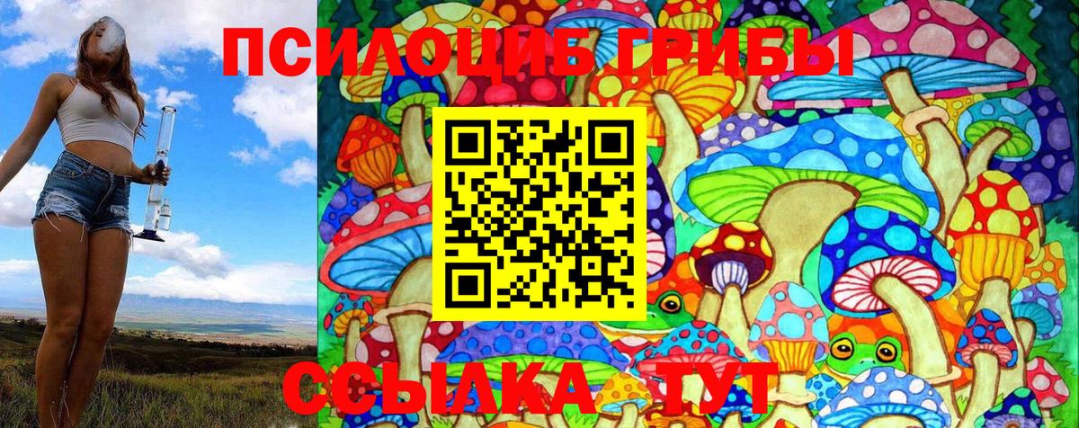 Псилоцибиновые грибы ЛСД  Рузаевка 