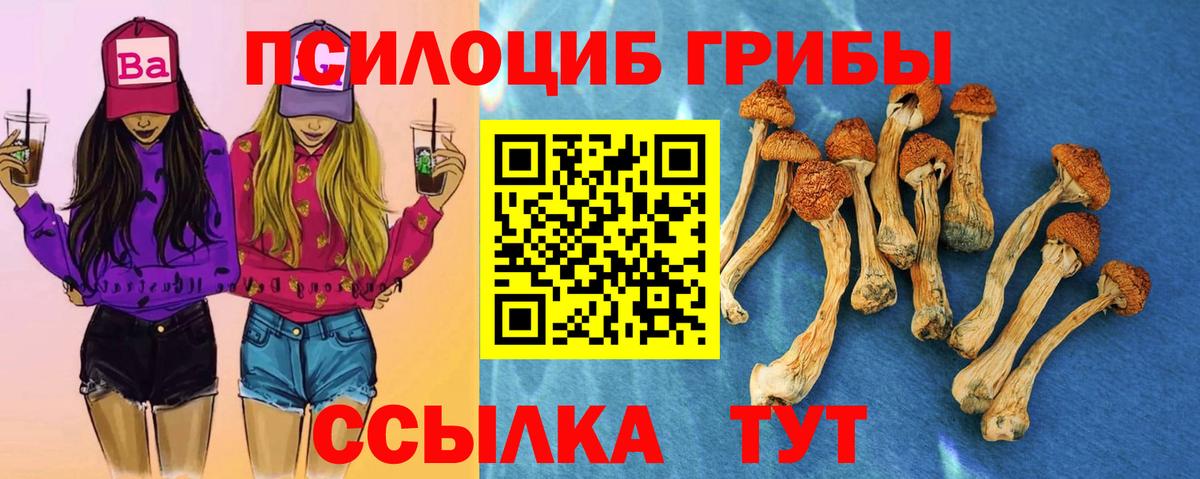 Рузаевка  Галлюциногенные грибы ЛСД  где купить   Вход с VPN  Псилоцибиновые грибы ЛСД 